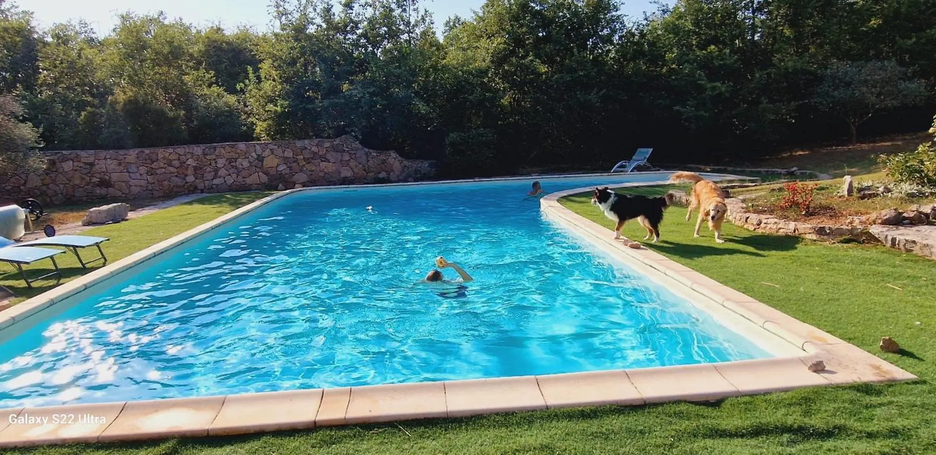 Villa Avec Piscine Privee Tourves Fransa
